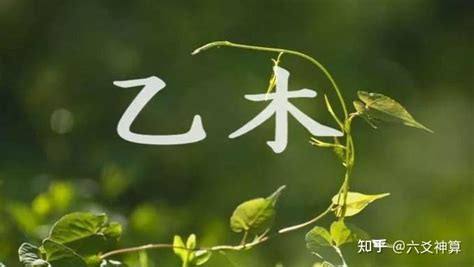 乙木人|四柱命理十天干之“乙木”特性